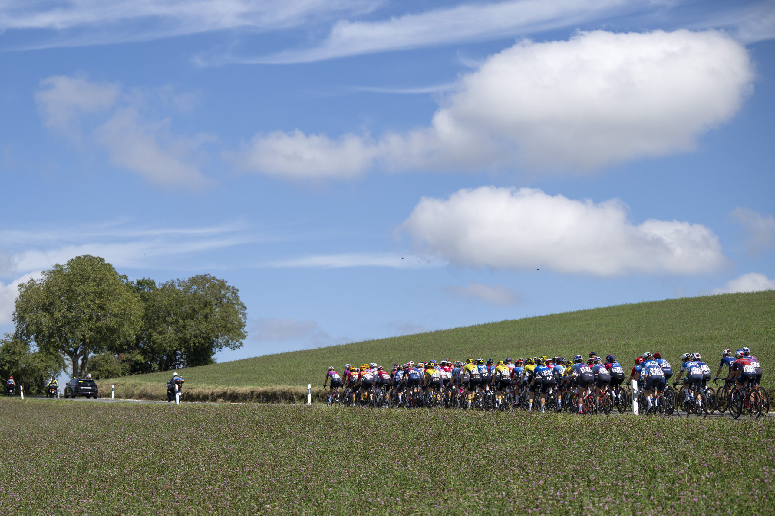 Femke Markus from the Netherlands of Team SD Worx leads the pack at Ependes during the first stage, a 133,8 km race between La Grande Beroche and Lausanne at the 3rd Tour de Romandie Feminin UCI Women's World Tour cycling race in Lausanne, Switzerland, Friday, September 6, 2024. (KEYSTONE/Jean-Christophe Bott)